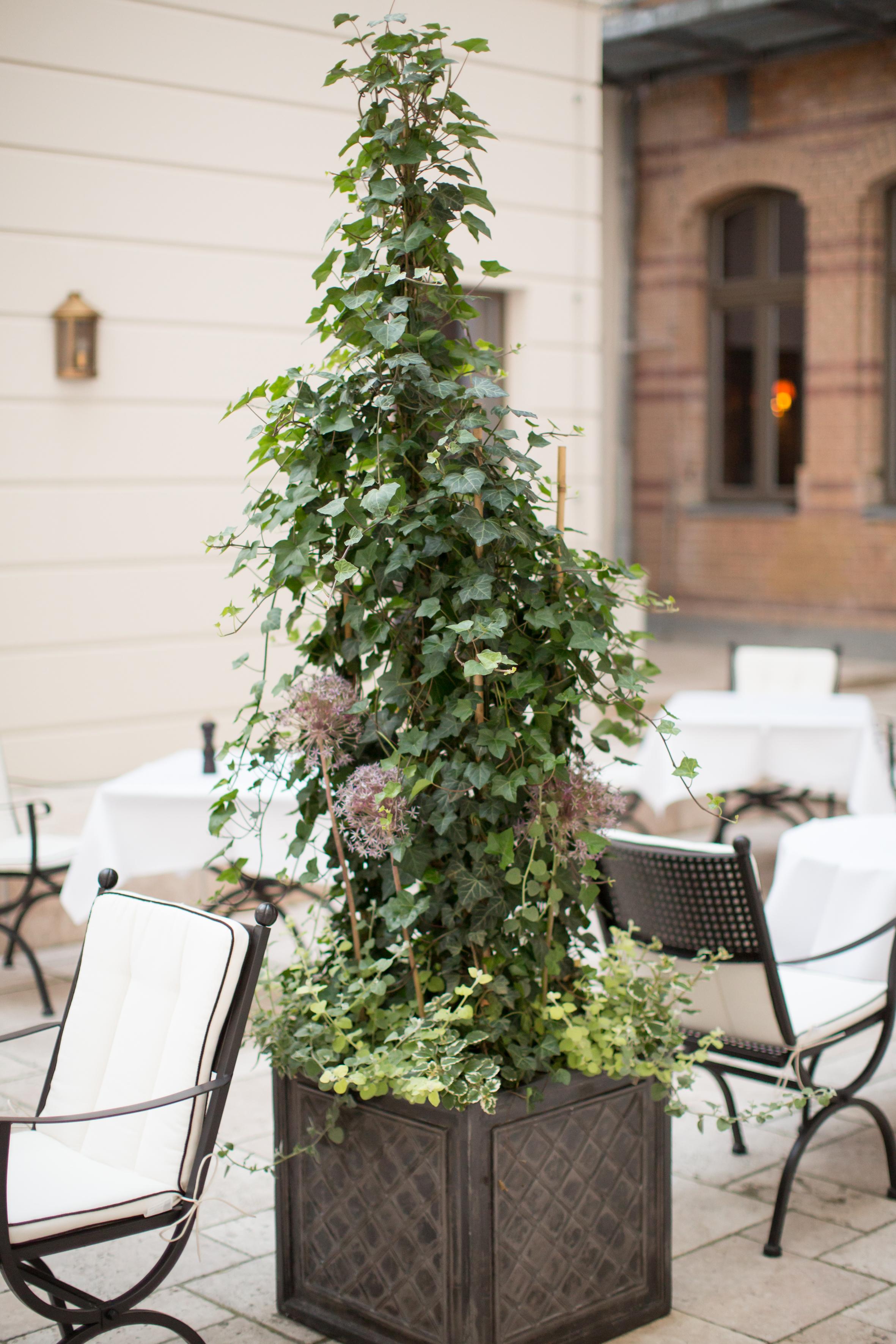 Monbijou Hotel Berlín Exteriér fotografie